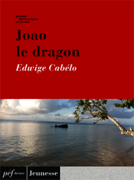 piece - Joao le dragon